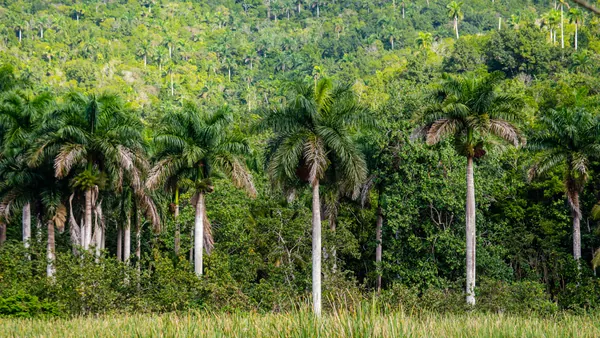 La impresionante Reserva de la Biosfera en Rosario, Cuba