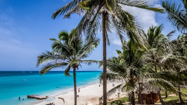 paisaje-palmera-varadero.jpg