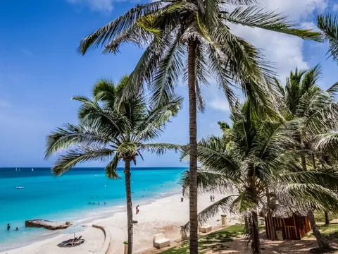 paisaje-palmera-varadero.jpg