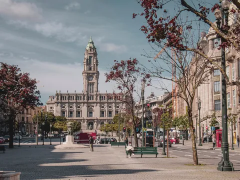 Plaza en Oporto con árboles y el edificio del ayuntamiento al fondo en un día despejado.