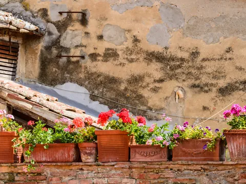 Macetas con flores en fachada rústica de un pueblo de la Toscana, Italia