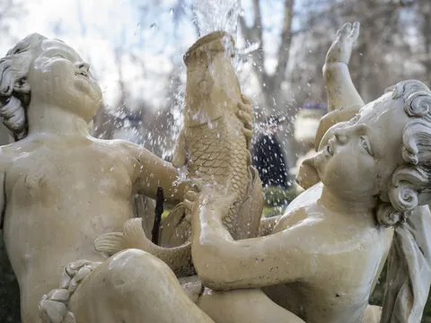 visita guiada Aranjuez Palacia Real Jardines Unesco Jardin Rey Jardin isla Jardin Parterre Fuentes Estatuas Madrid