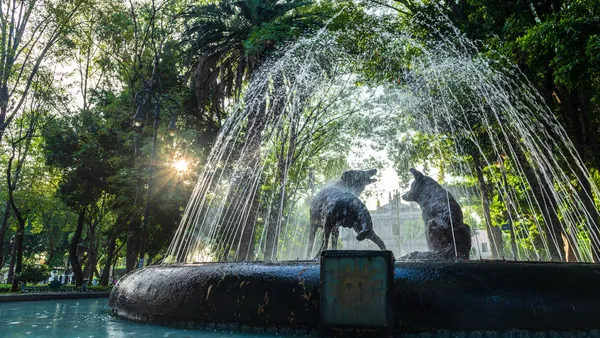 free tour Coyocan visita guiada en español México DF