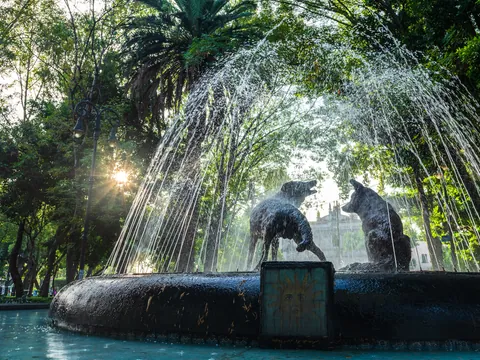 free tour Coyocan visita guiada en español México DF