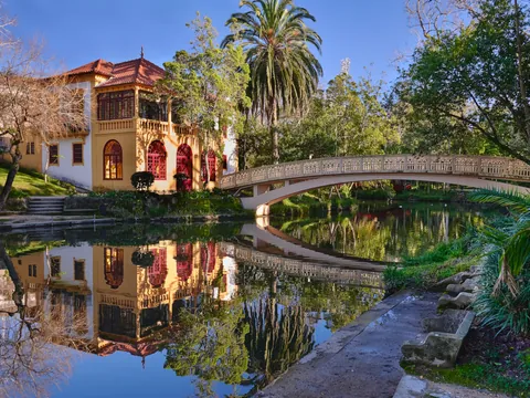 Puentes Aveiro paseo Moliceiro