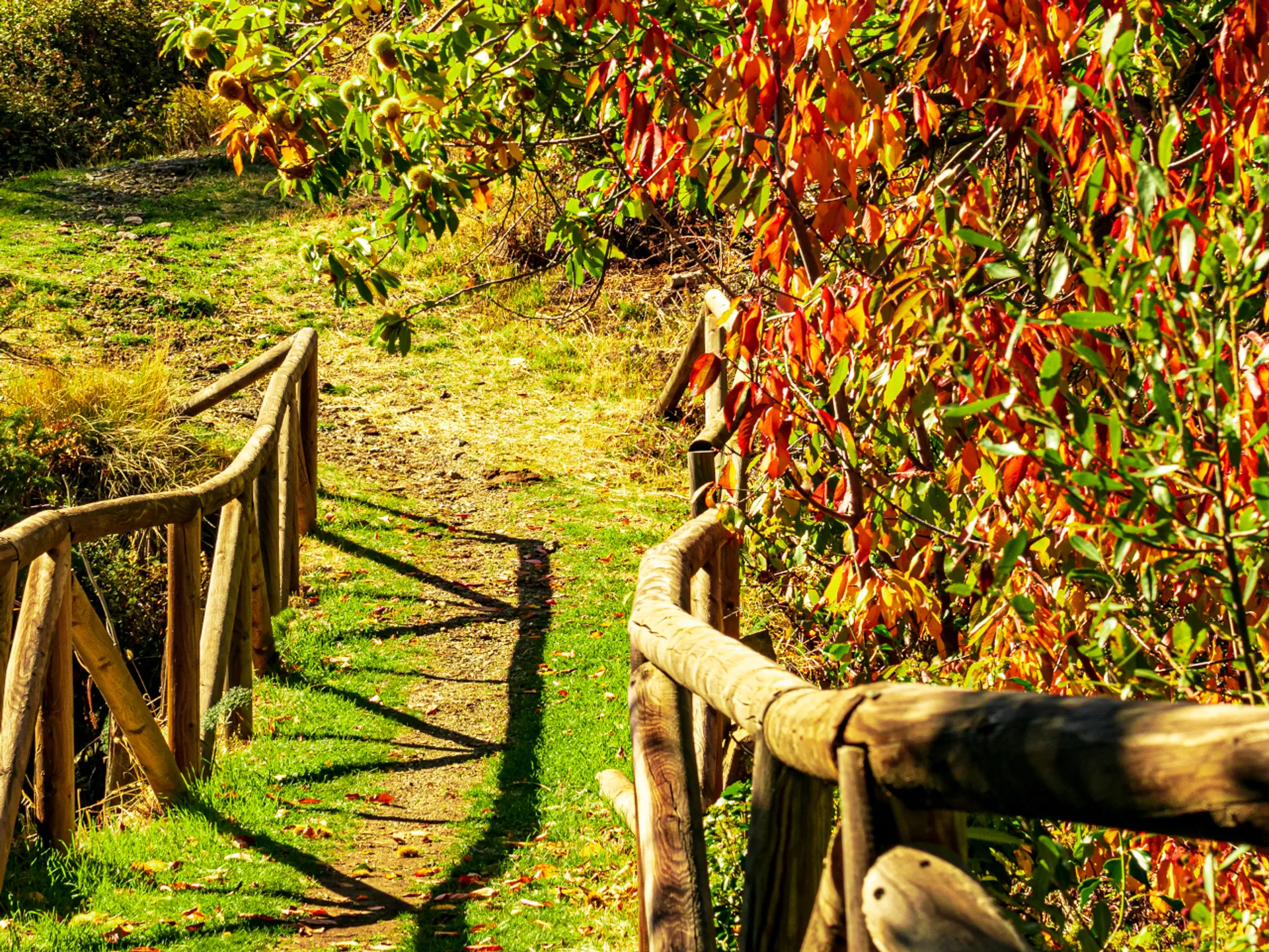 Camino Lanjarón Naturaleza - Lanjarón: La puerta de la Alpujarra - Alrededores de Granada - Qué ver en Granada - Guía de Viajes Granada - Buendía