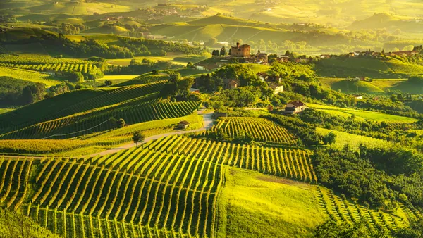 paisaje aéreo de una finca vinícola, que muestra viñedos en terrazas y un pequeño pueblo o aldea en la cima de una colina