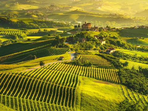 paisaje aéreo de una finca vinícola, que muestra viñedos en terrazas y un pequeño pueblo o aldea en la cima de una colina