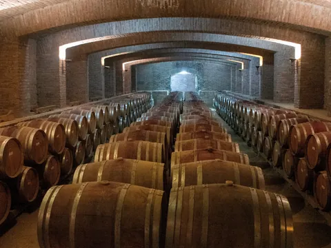 La bodegas guardan siglos de tradición que se relevarán en esta excursión desde Santiago de Chile.