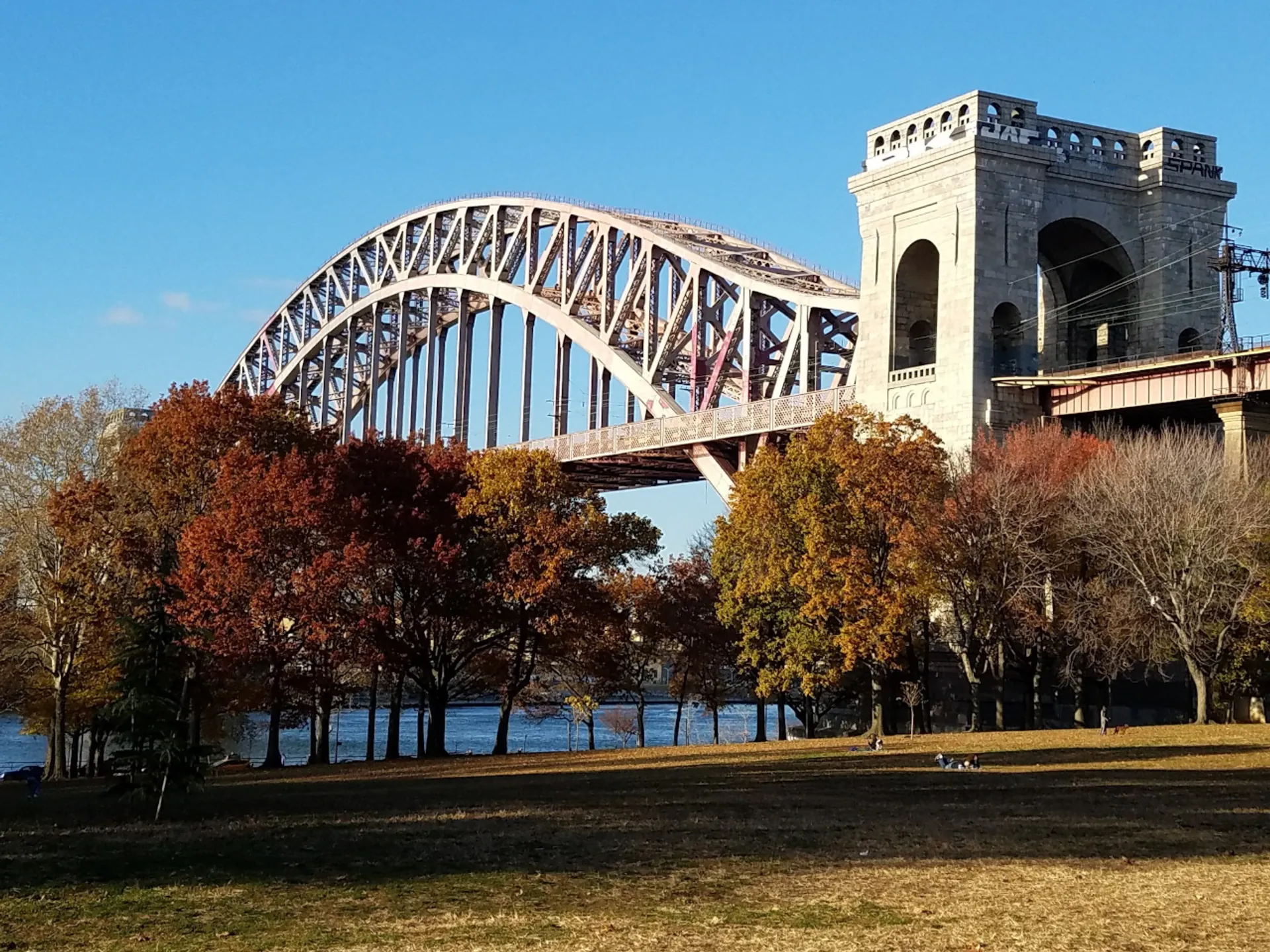 Vista de Queens - Barrio de Queens - Qué ver en Nueva York - Guía de Viajes Nueva York - Buendía Tours