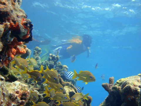 Excursión al hotel Isla del Sol desde Cartagena de Indias
