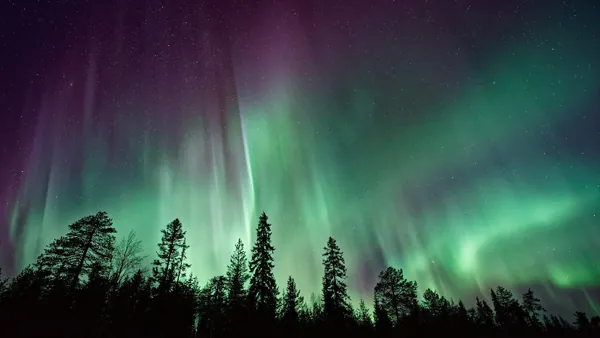 árboles tour Aurora Boreal islandia Buendía
