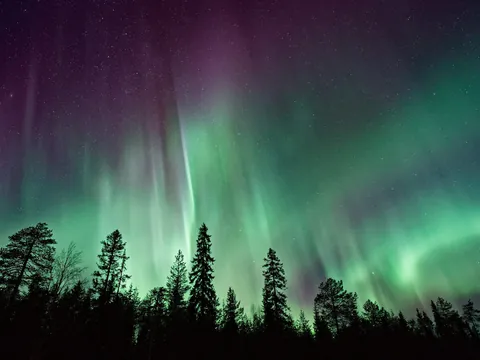 árboles tour Aurora Boreal islandia Buendía