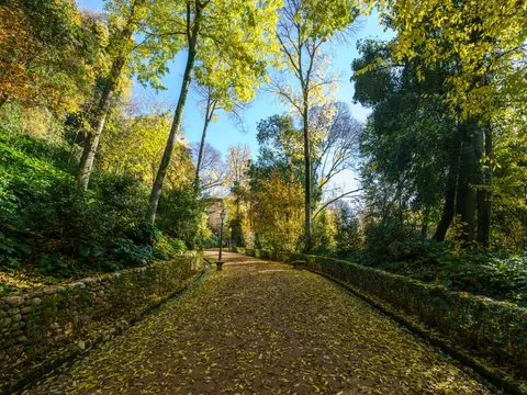 Sendero en los bosques de la Alhambra, Granada.