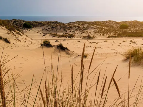 excursión Doñada desde Sevilla Transporte