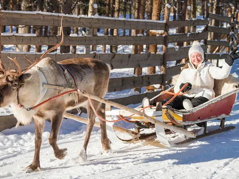 Excursión a la aldea de Papá Noel y al parque de huskies con paseo en trineo de renos desde Rovaniemi