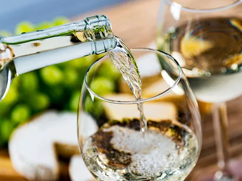 visita Cata Bodegas Corisca Uva Vides Albariño Rias Baixas Pontevedra Tui Galicia