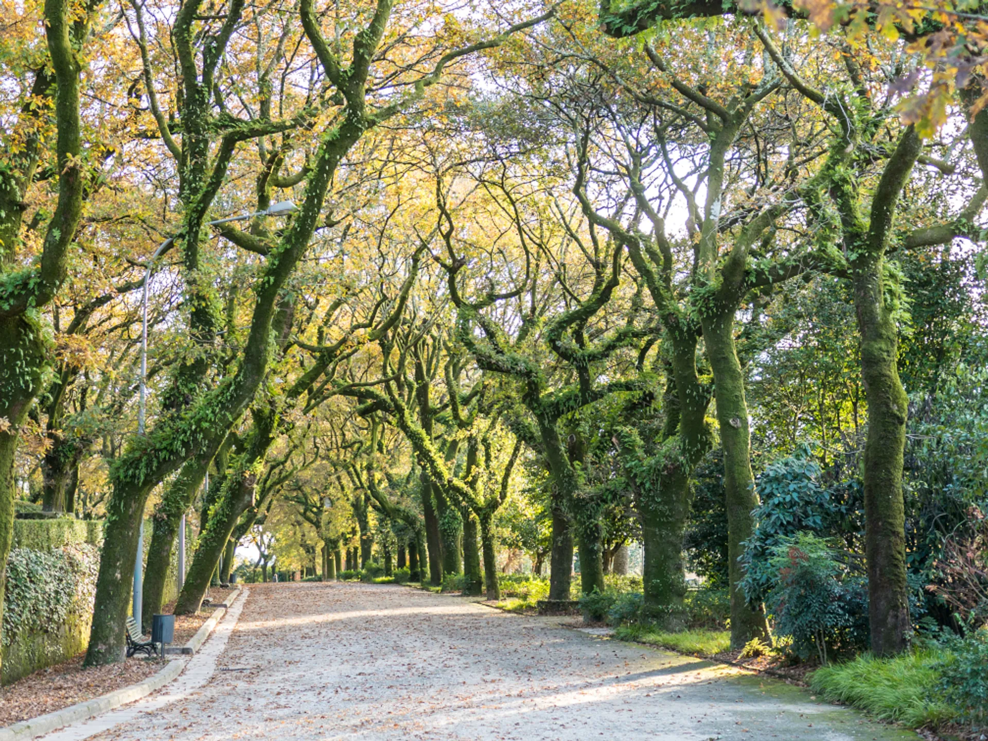 Parque de la Alameda - Parques Santiago Compostela - Buendia Tours