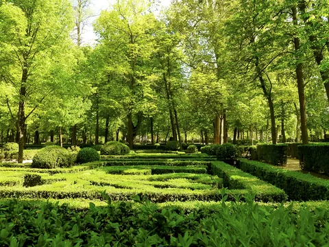 visita guiada Aranjuez Palacia Real Jardines Unesco Jardin Rey Jardin isla Jardin Parterre Fuentes Estatuas Madrid