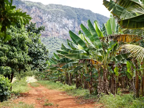 parque-nacional-vinales.jpg