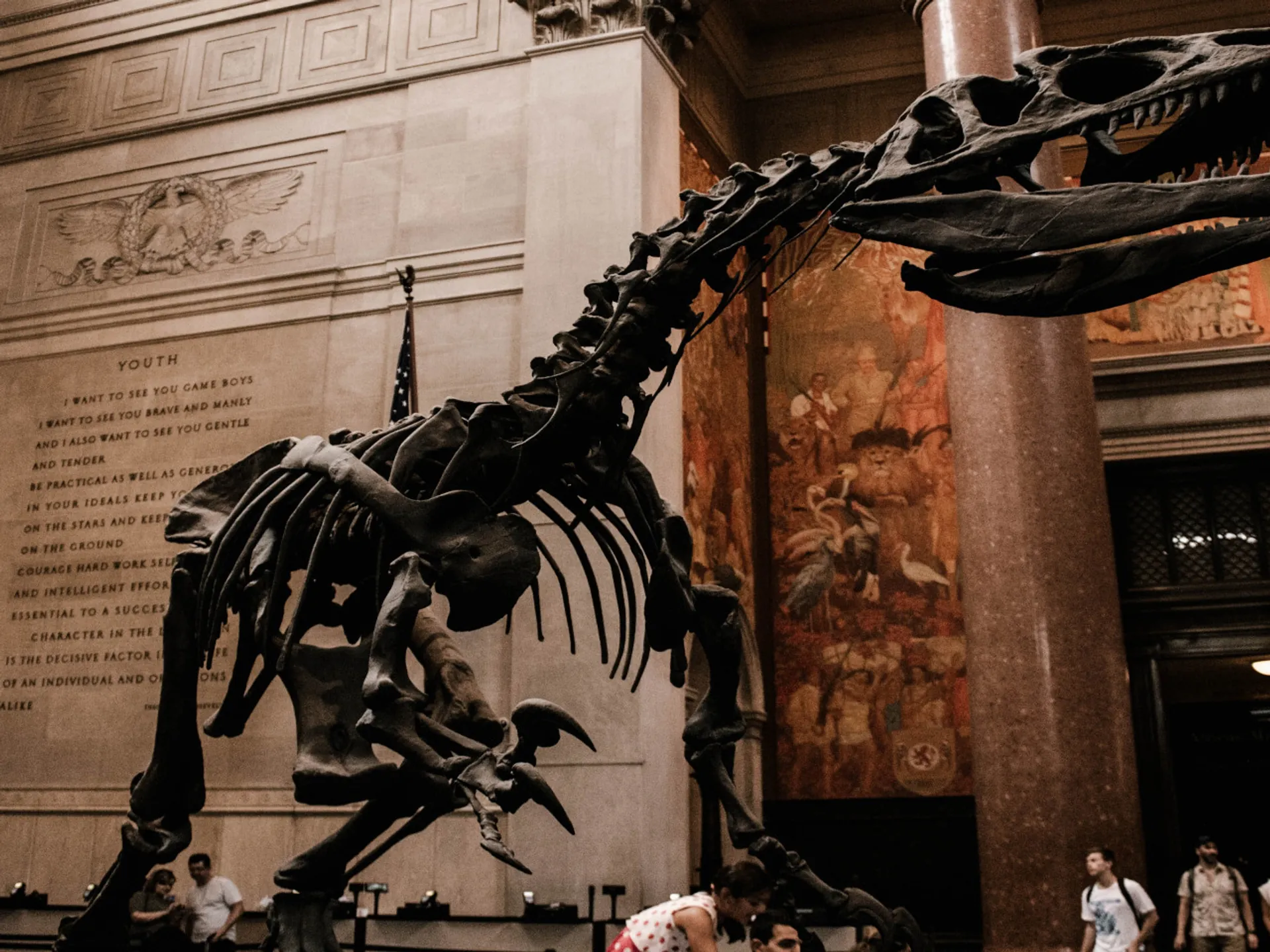 Esqueleto dinosaurio en el Museo Americano de Historia Natural - Museo Americano de Historia Natural - Museos de Nueva York - Qué ver en Nueva York - Guía de Viajes Nueva York - Buendía Tours
