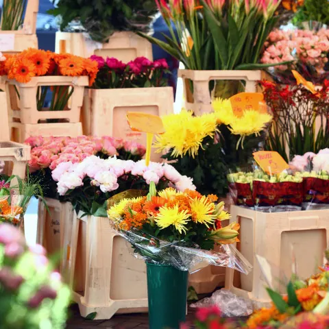 Mercado de las flores de Ámsterdam-Ámsterdam que ver-Guía de viaje - Buendía Tours