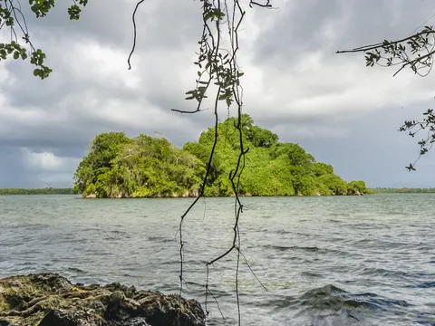 Desde La Romana: Excursión a los Haitises y Cascada Rancho Yanigua