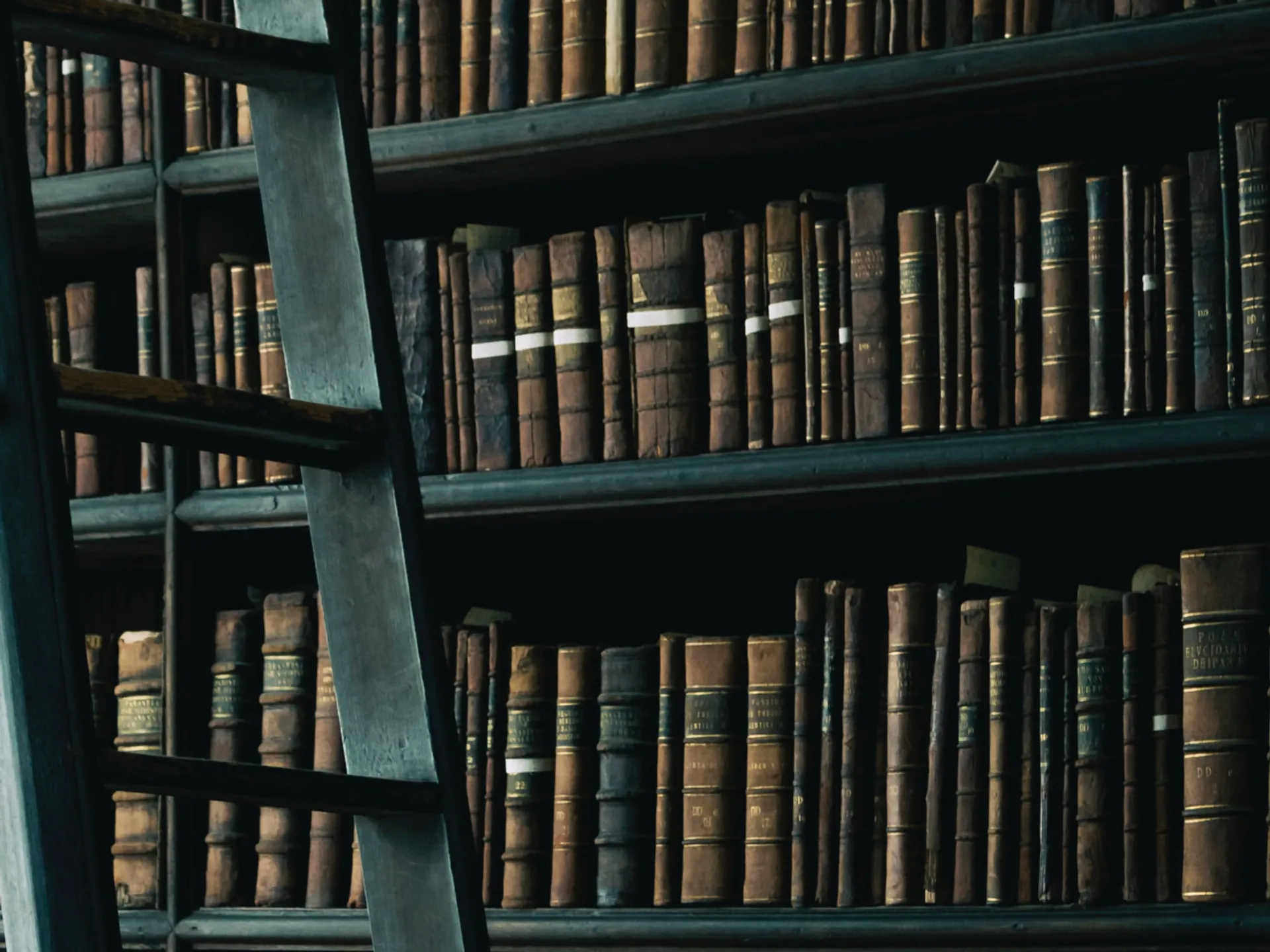 Estantería llena de libros - The Morgan Library&amp;Museum - Museos de Nueva York - Qué ver en Nueva York - Guía de Viajes Nueva York - Buendía Tours