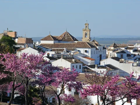tour-antequera-monumental_visita-guiada-antequera_iglesia_malaga_andalucia_buendia (1).jpg