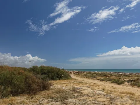 paseo en barco isla Deserta isla Farol visita guiada isla Culatra Faro Olhao Ria Formosa Algarve