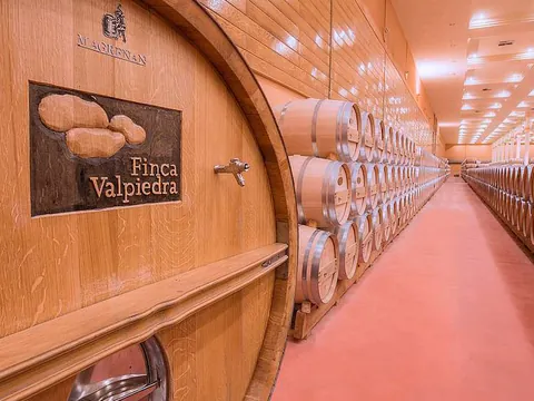 visita Cata Bodega Finca Valpiedra Logroñocata Vino Viñedo Enoturismo la Rioja
