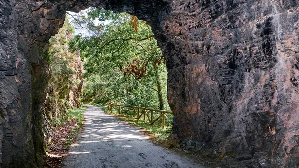 Cómo elegir entre las excursiones a la Senda del Oso