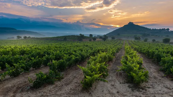 Qué hacer en La Rioja entre bodegas, gastronomía y pueblos con mucho encanto