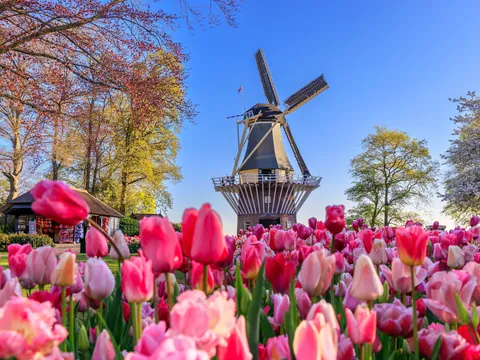 Excursión a Keukenhof en grupo reducido desde Utrecht