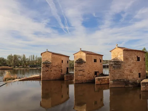 visita-guiada-zamora_aceñas-olivares_castilla-leon_buendia_0.jpg