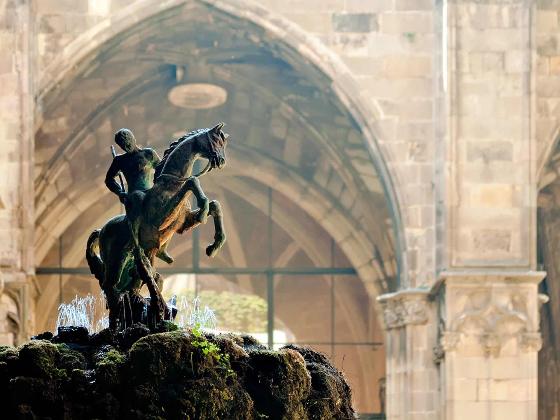 Detalle del patio de la Catedral de Barcelona - Catedral de Barcelona - Qué ver en Barcelona - Guía de Viajes Barcelona - Buendía Tours