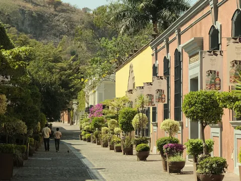 excursion-tequila-desde-guadalajara.jpg