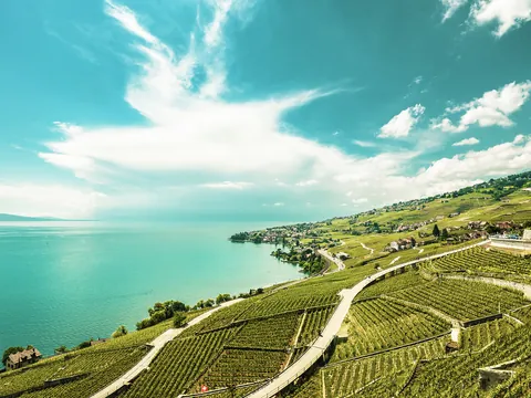 tour-riviera-suiza_excursion-desde-ginebra_lavaux_viñedos_bodegas_vinos_buendia (4).jpg
