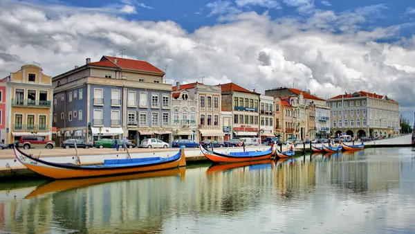 Moliceiro en privado Aveiro