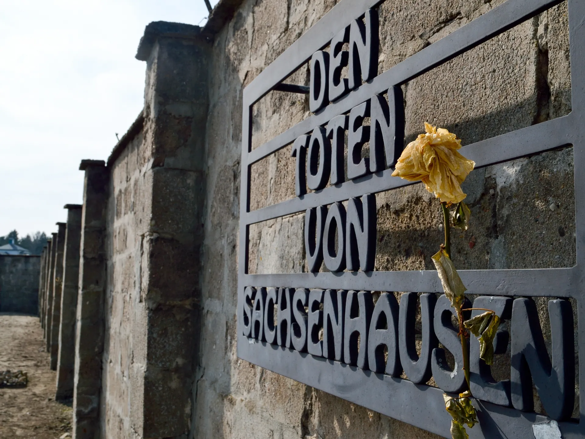 cartel flor sachsenhausen
