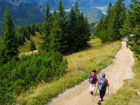 excursión Sendrismo los Reales Sierra Bermeja desde Málaga