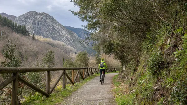 Cómo elegir la mejor forma de descubrir la Senda del Oso