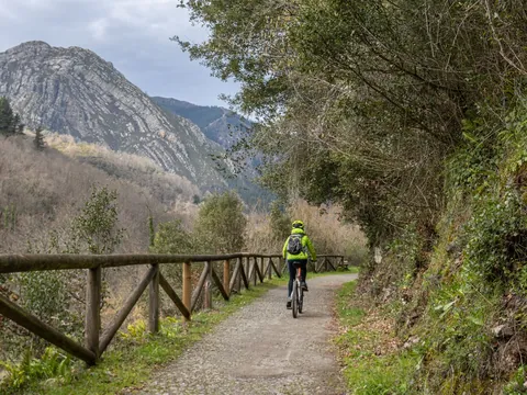 Senda del Oso, Proaza, Asturias