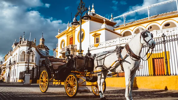 paseo Calesa Sevilla Coche Caballos