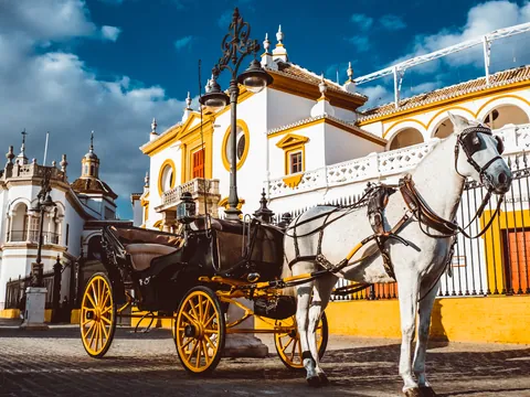 paseo Calesa Sevilla Coche Caballos