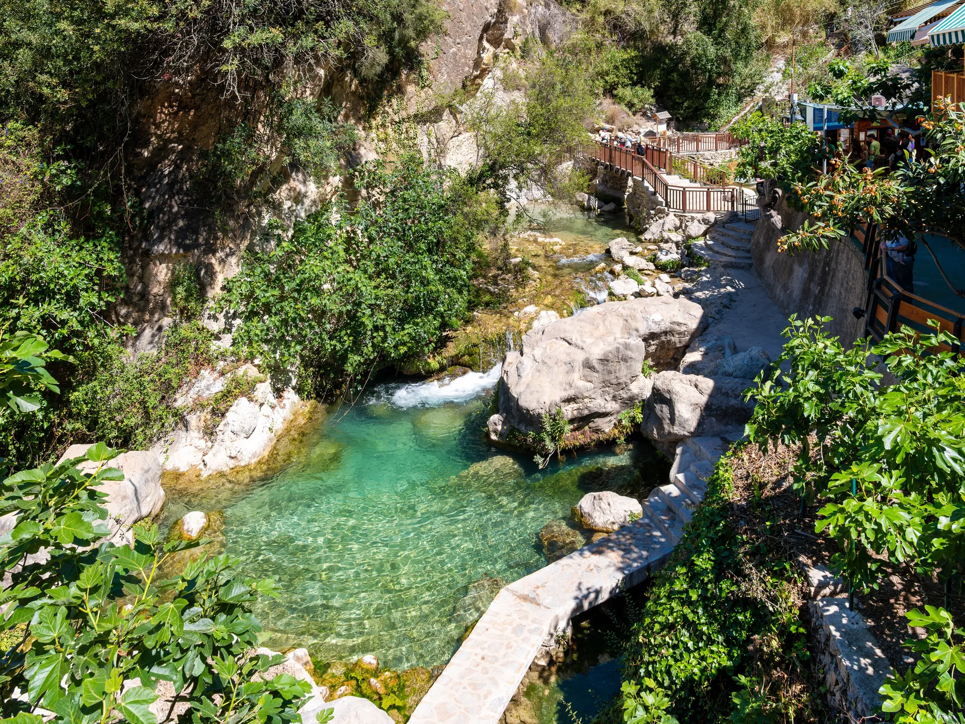 fuentes ddel algar perspectiva
