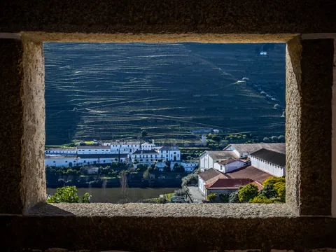 Excursión por el Valle del Duero con cata de vinos, crucero por el río y visita a Lamego desde Oporto