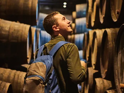 Tour por Oporto y Vila Nova de Gaia con visita a bodega de vino