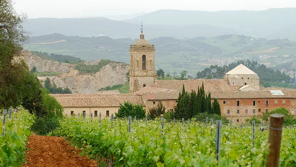 visita Bodegas Pago Larrainzar Viñedo Cata Vinos Pamplona Navarra