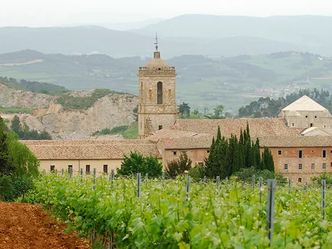 visita Bodegas Pago Larrainzar Viñedo Cata Vinos Pamplona Navarra